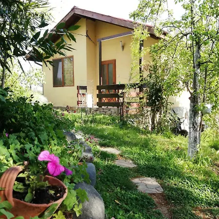 Guest house Casa Verde *