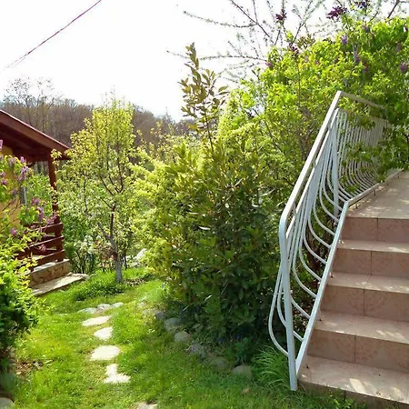 Casa Verde * Sinemoretz