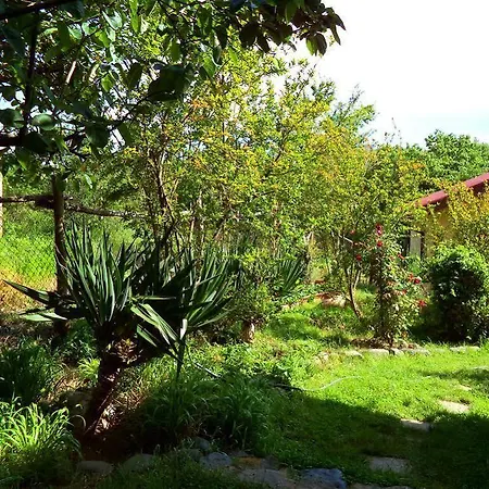 Guest house Casa Verde *